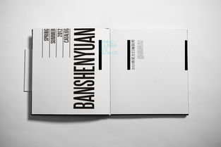 成都與創廣告 以匠心打造“半身緣”高端精品畫冊與定制化軟件開發方案